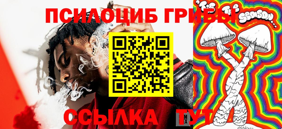 Галлюциногенные грибы Magic Shrooms  Вход с VPN  продажа наркотиков  Петрозаводск  Псилоцибиновые грибы Cubensis 